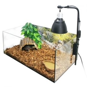 Terrarium tortue terrestre - Bebesaurus