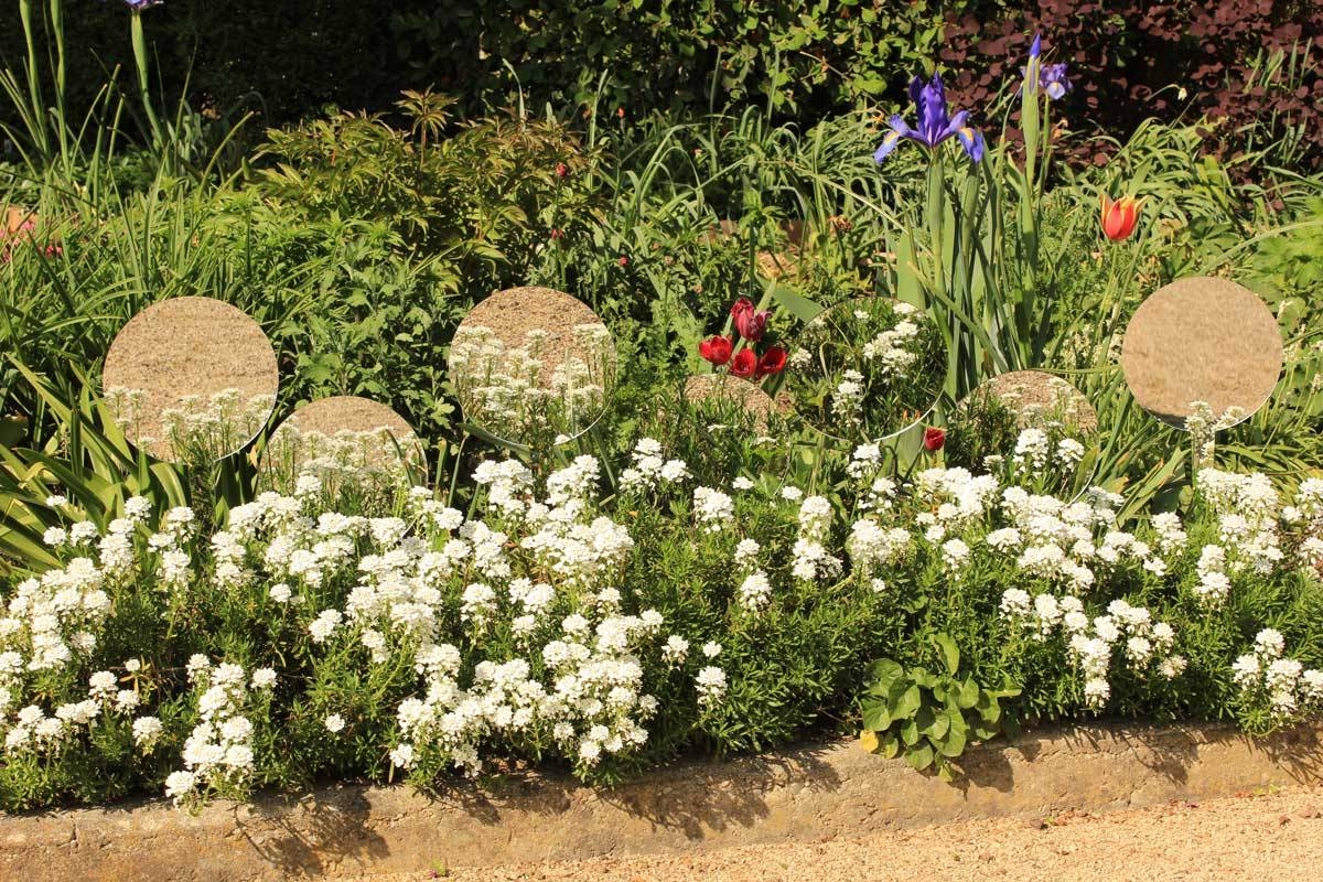 Miroir à planter